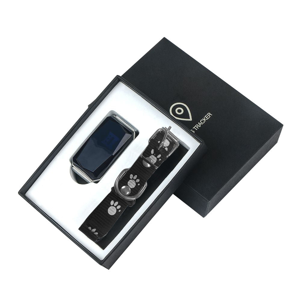 Collier GPS pour protéger votre chien.