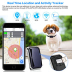 Collier GPS pour protéger votre chien.