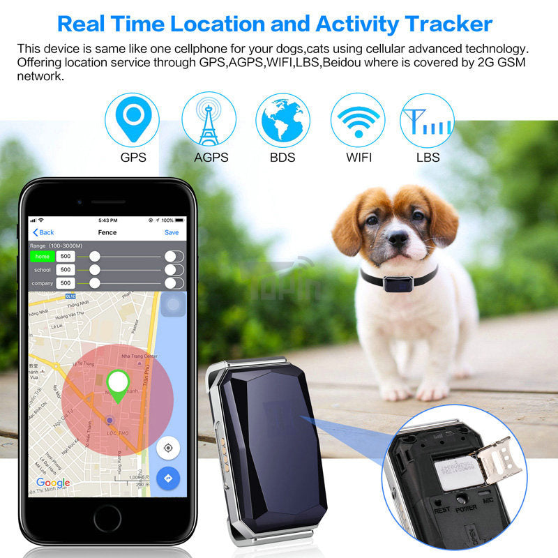 Collier GPS pour protéger votre chien.