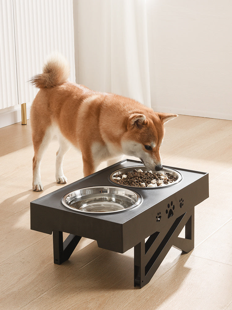 Bol en acier inoxydable pour animaux.
