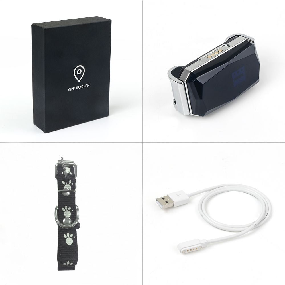 Collier GPS pour protéger votre chien.