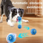 Balle interactive pour faire jouer votre animal préféré !