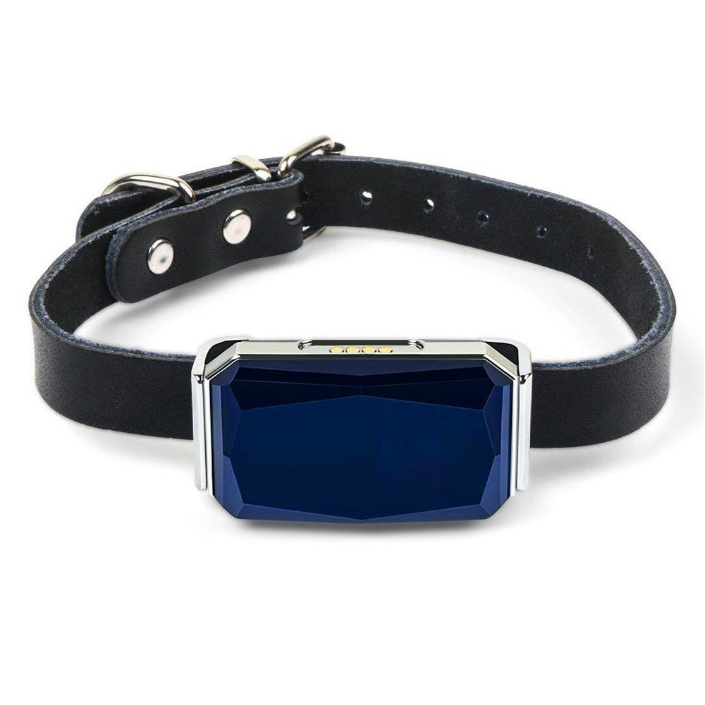 Collier GPS pour protéger votre chien.