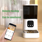 Distributeur automatique WIFI pour animaux de compagnie.