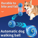 Balle interactive pour faire jouer votre animal préféré !