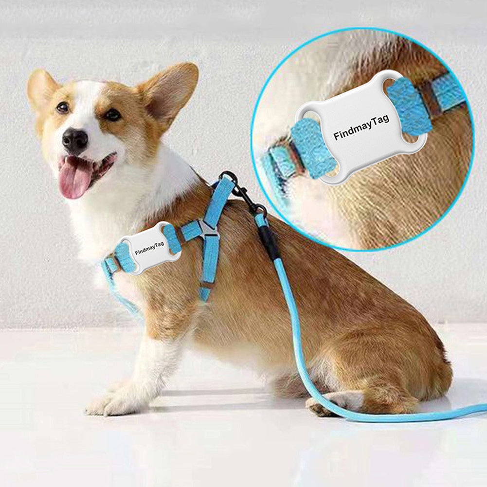GPS connecté pour animaux de compagnie.