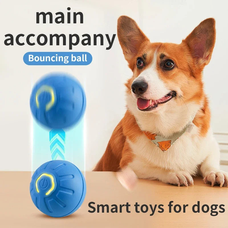 Balle interactive pour faire jouer votre animal préféré !