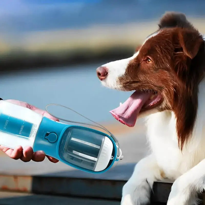 Croquettes, tasse à eau pour chien et sac poubelle : 3 en 1 !
