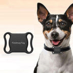 GPS connecté pour animaux de compagnie.