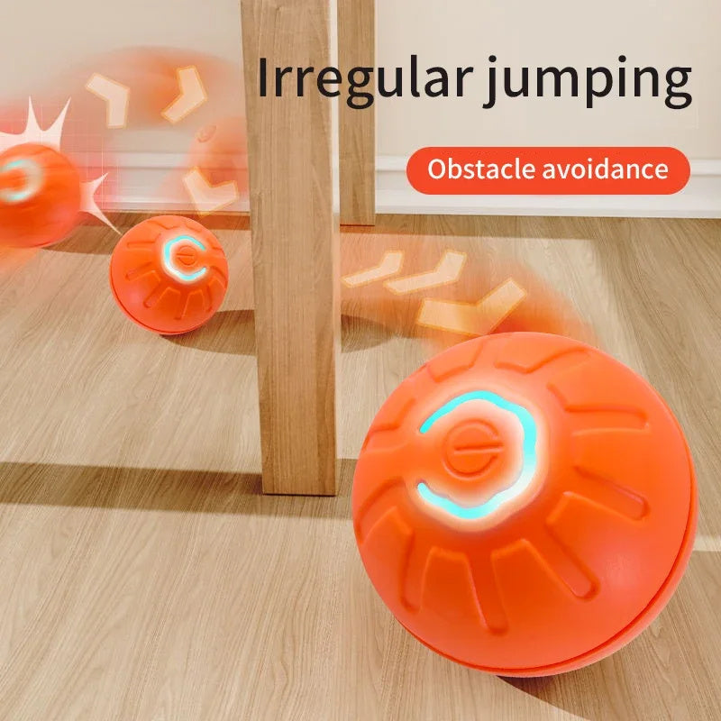 Balle interactive pour faire jouer votre animal préféré !