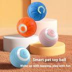 Balle interactive pour faire jouer votre animal préféré !