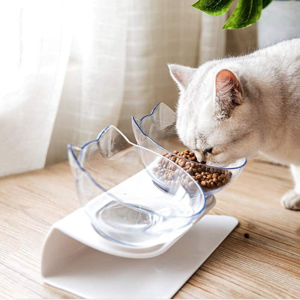Double bol  avec support surélevé pour chats et chiens.