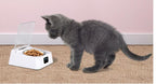 Distributeur automatique de nourriture pour animaux de compagnie Bowl.