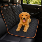 Fini les poils et la boue dans votre voiture !🚗🐶