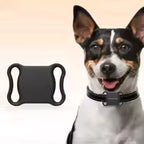 GPS connecté pour animaux de compagnie.
