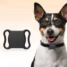 GPS connecté pour animaux de compagnie.