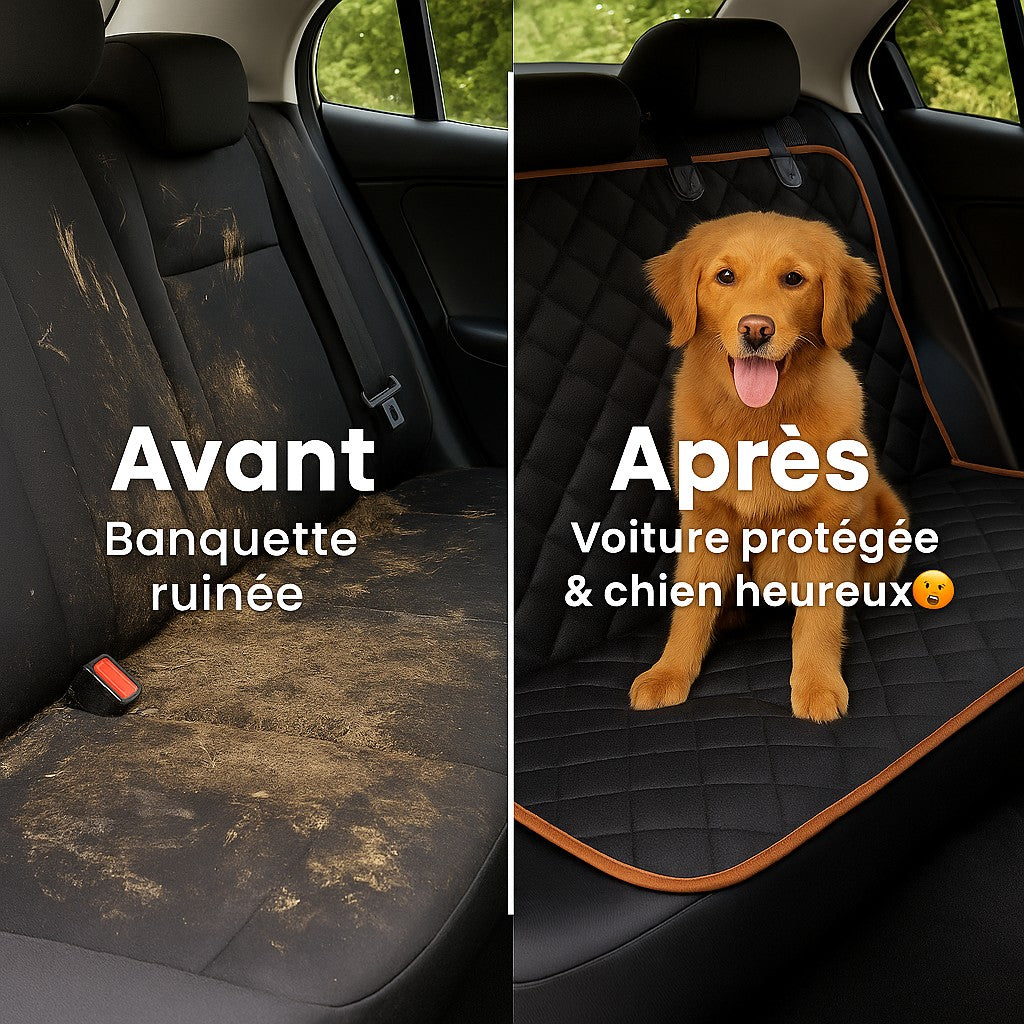 Fini les poils et la boue dans votre voiture !🚗🐶