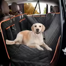Fini les poils et la boue dans votre voiture !🚗🐶