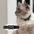 GPS connecté pour animaux de compagnie.