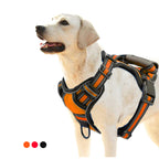 Harnais réfléchissant pour chien .