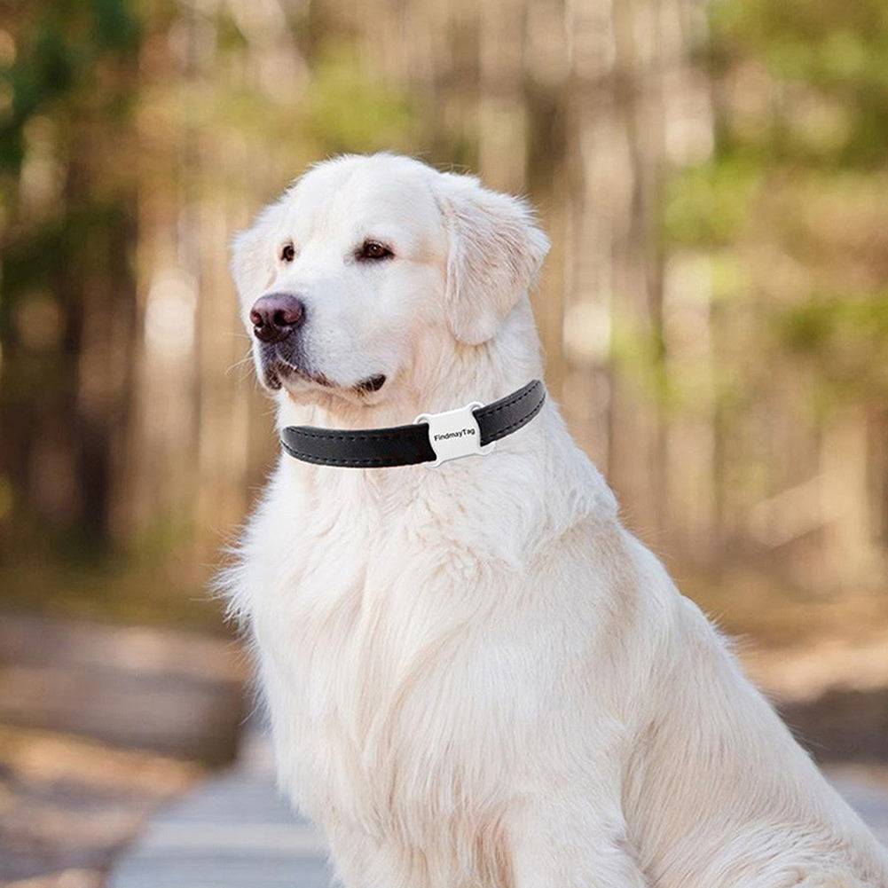 GPS connecté pour animaux de compagnie.