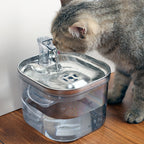 Distributeur intelligent d'eau automatique pour votre animal.