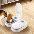Distributeur de nourriture avec minuteur intelligent pour chiens et chats.