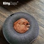 Kitty Napz™ / le lieu de jeu parfait pour votre animal préféré.