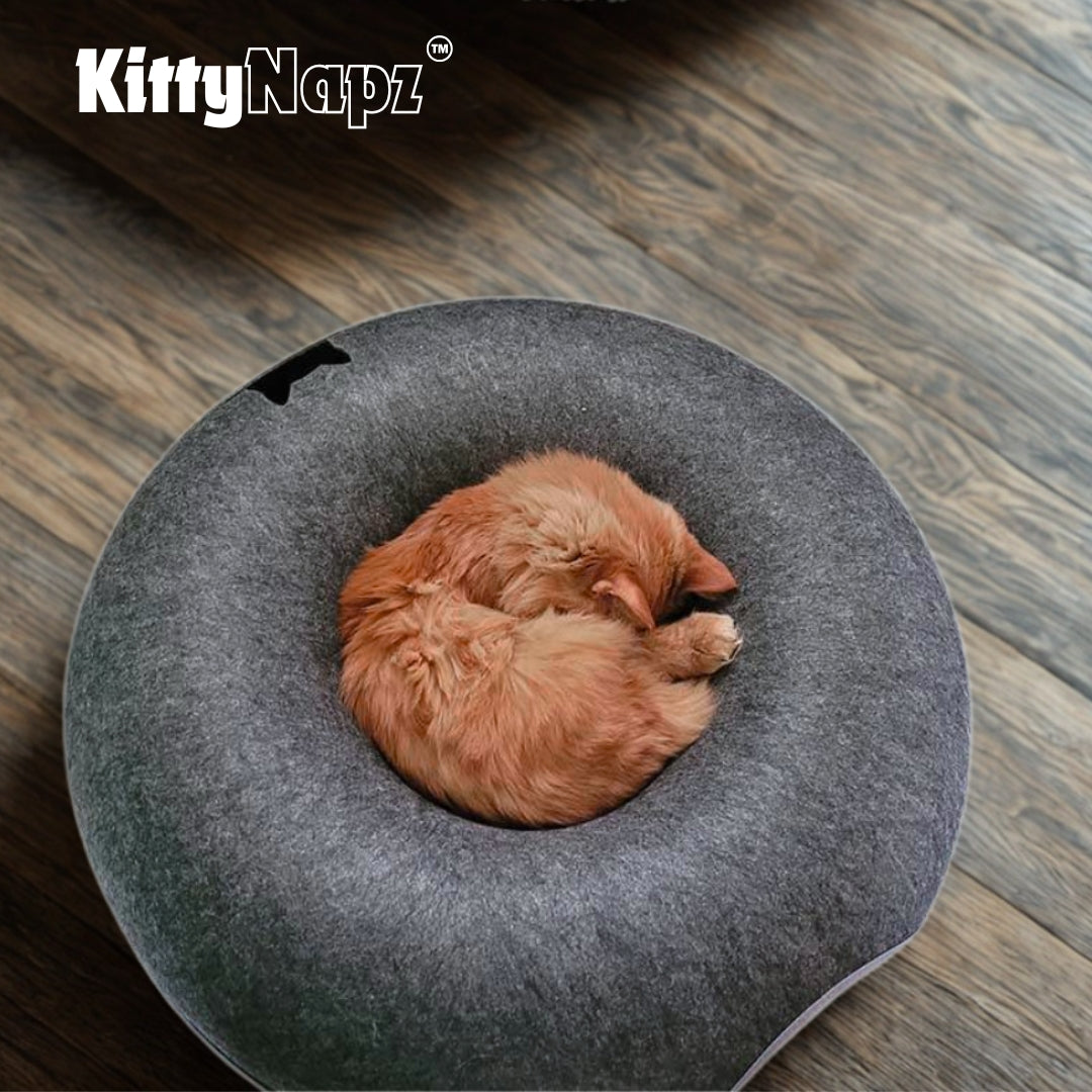 Kitty Napz™ / le lieu de jeu parfait pour votre animal préféré.