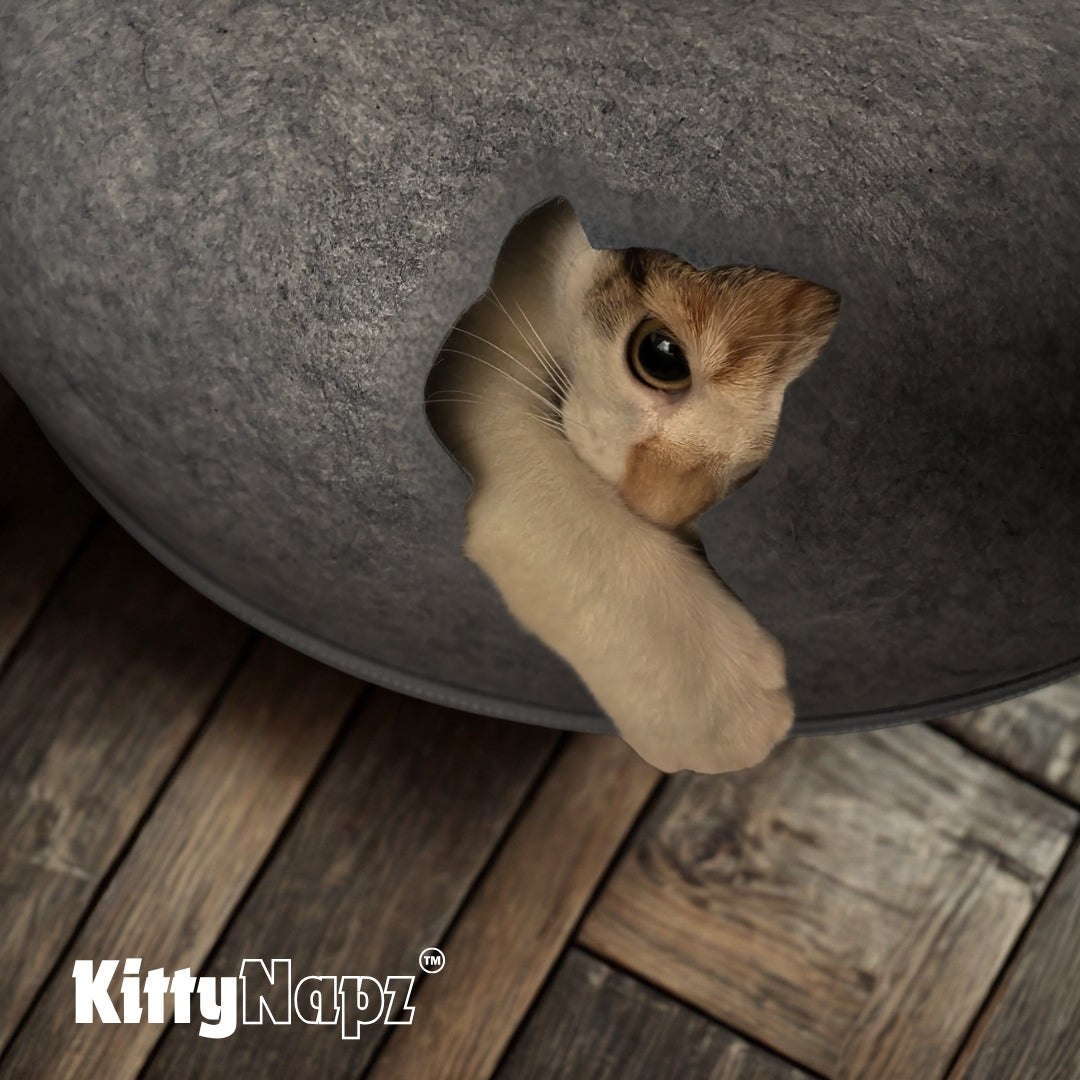 Kitty Napz™ / le lieu de jeu parfait pour votre animal préféré.