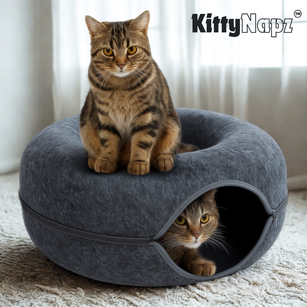 Kitty Napz™ / le lieu de jeu parfait pour votre animal préféré.