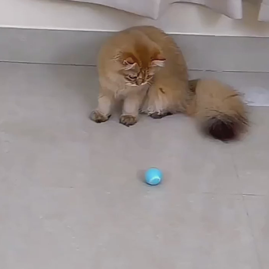 Balle interactive pour faire jouer votre animal préféré !