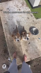 Croquettes, tasse à eau pour chien et sac poubelle : 3 en 1 !