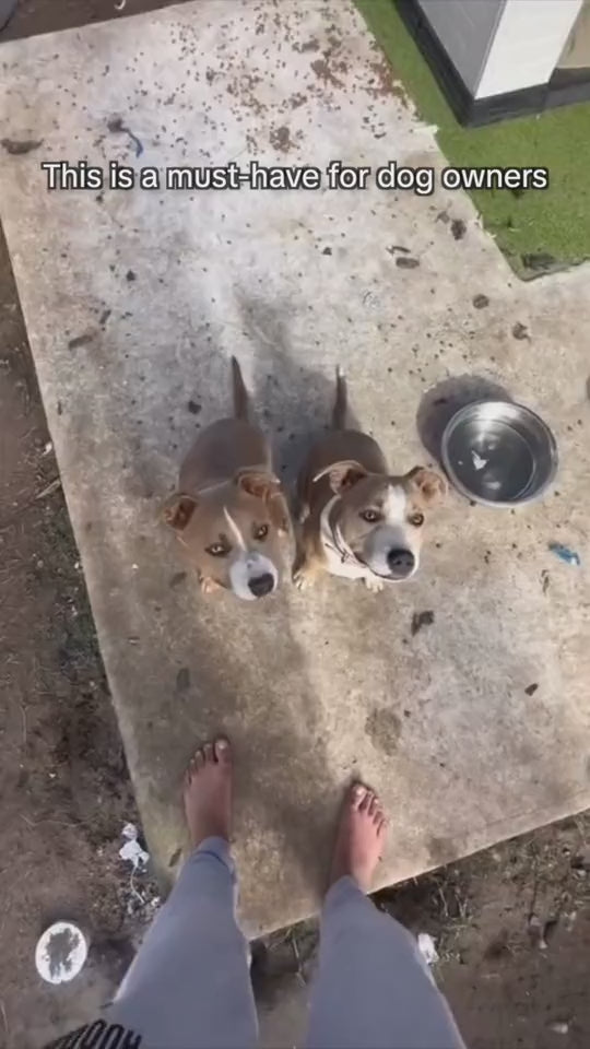 Croquettes, tasse à eau pour chien et sac poubelle : 3 en 1 !
