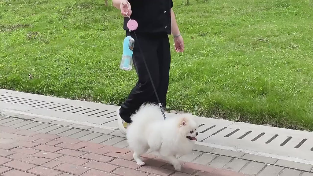 Croquettes, tasse à eau pour chien et sac poubelle : 3 en 1 !