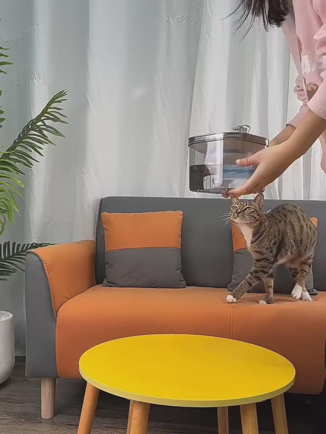 Distributeur intelligent d'eau automatique pour votre animal.
