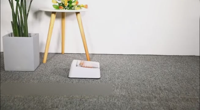 Distributeur automatique de nourriture pour animaux de compagnie Bowl.