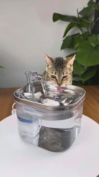 Distributeur intelligent d'eau automatique pour votre animal.